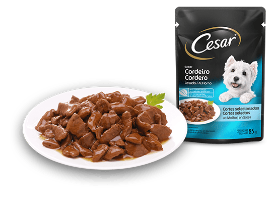 The Cesar Range