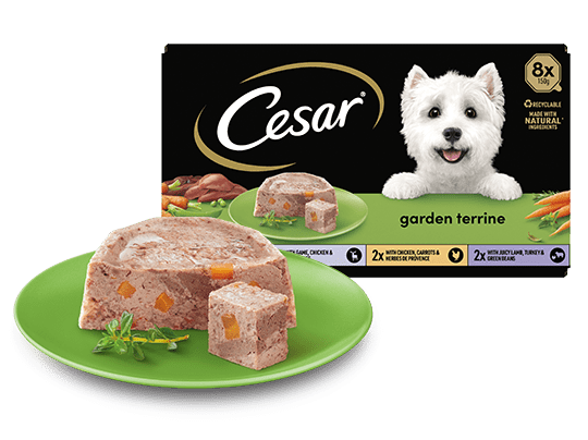 The Cesar Range