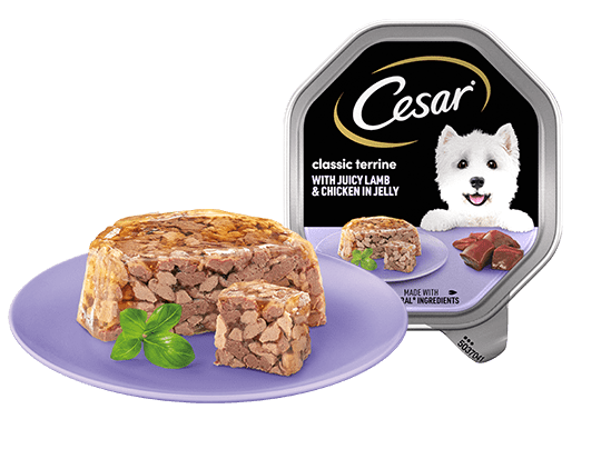 The Cesar Range