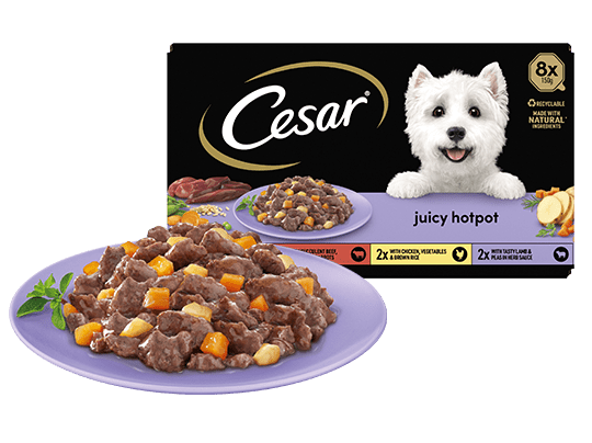 The Cesar Range