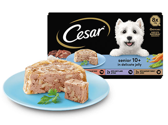 The Cesar Range