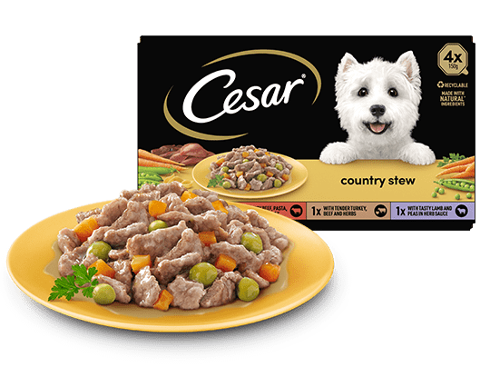 The Cesar Range