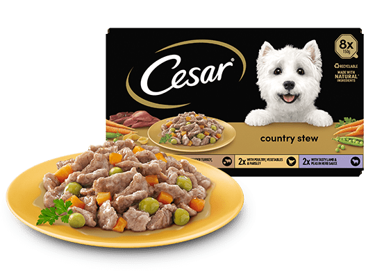 The Cesar Range