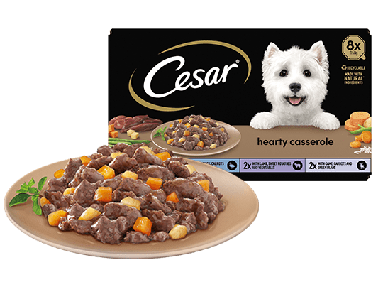 The Cesar Range