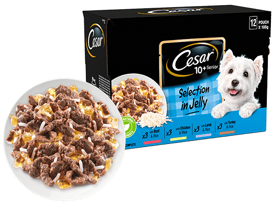The Cesar Range