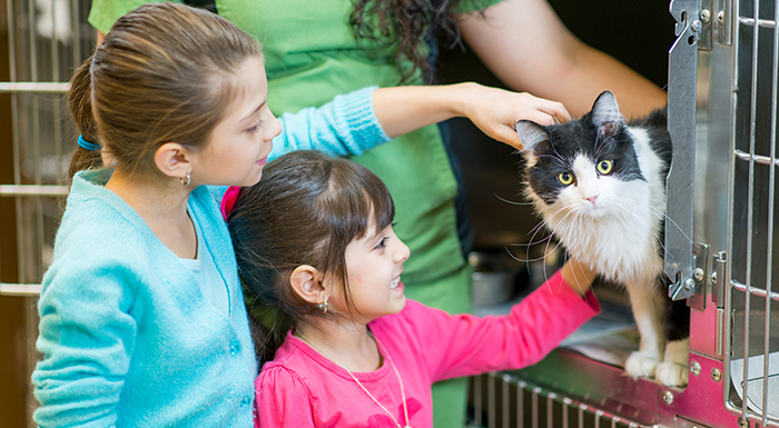 Panduan Mengandopsi Kucing Temptations™ Indonesia