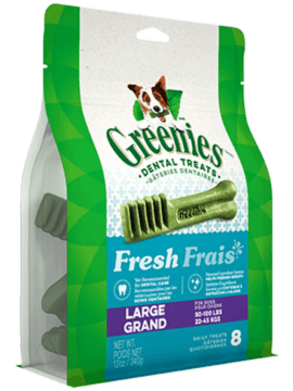 Gâteries dentaires pour chiens GREENIES<sup>MC</sup> Frais – grand format