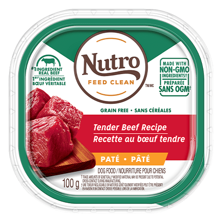 nutro pate dog food