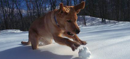 La neige, un danger potentiel