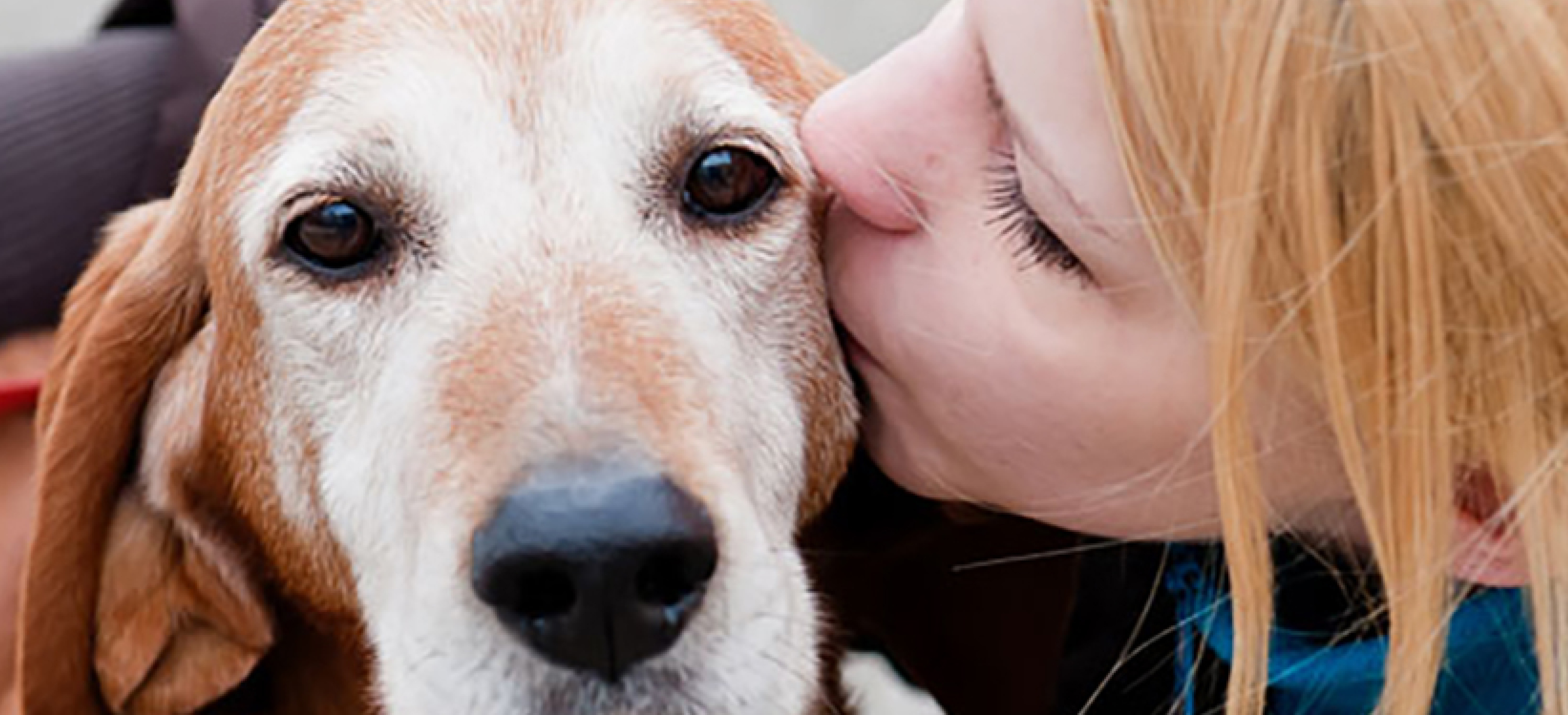 Comment améliorer votre relation avec votre chien?