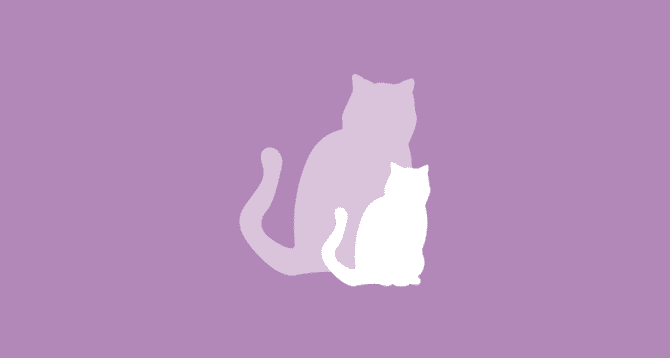 Croquettes Chatons Moins D 1 An Au Poulet Perfect Fit