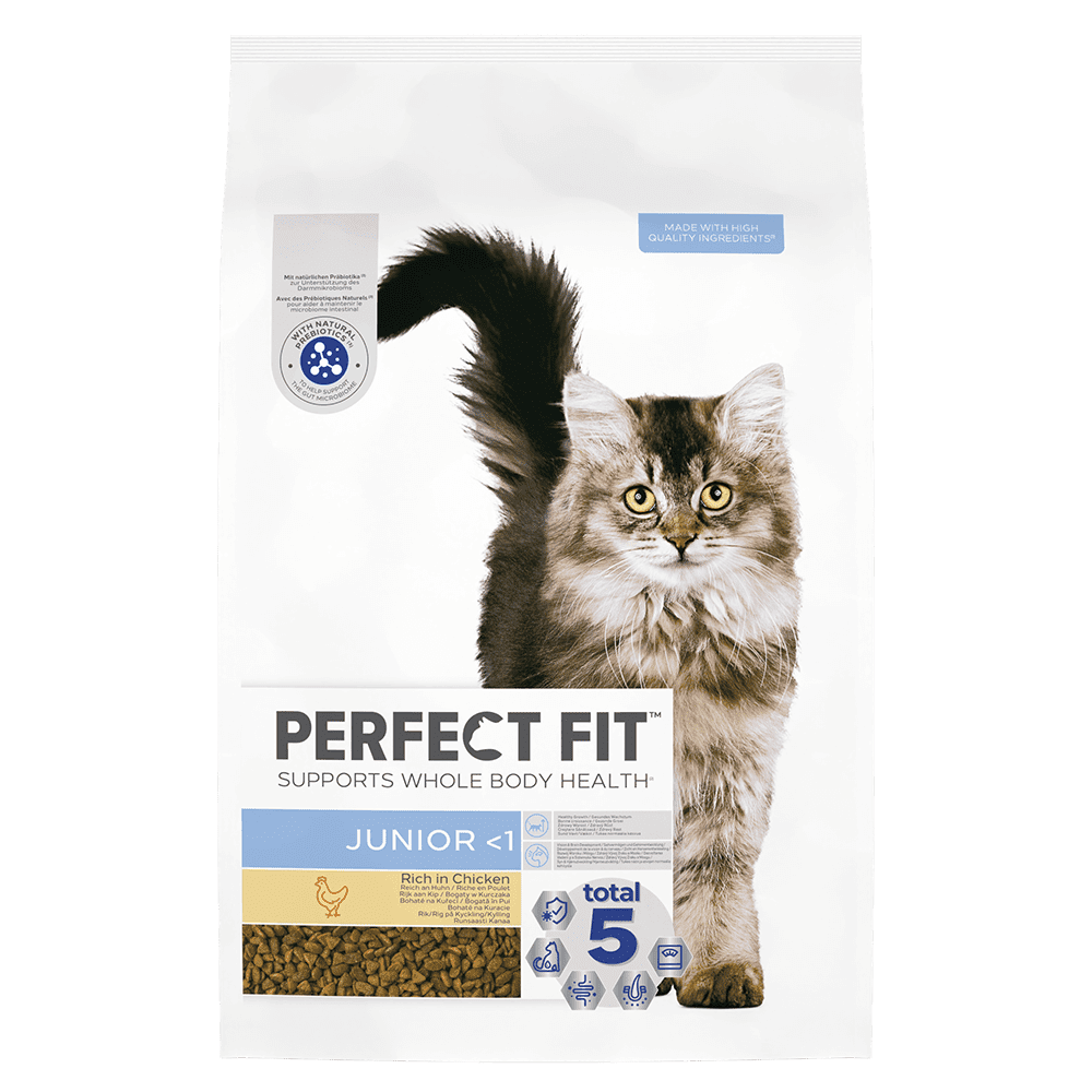 Perfect Fit™ Advanced Nutrition Junior Dry Cat Food Chicken
