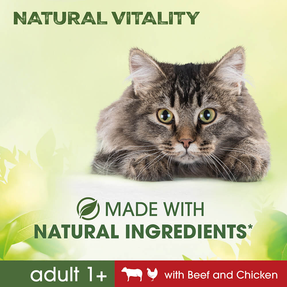 Perfect Fit™ Natural Vitality Adult Dry Cat Food Beef & Chicken