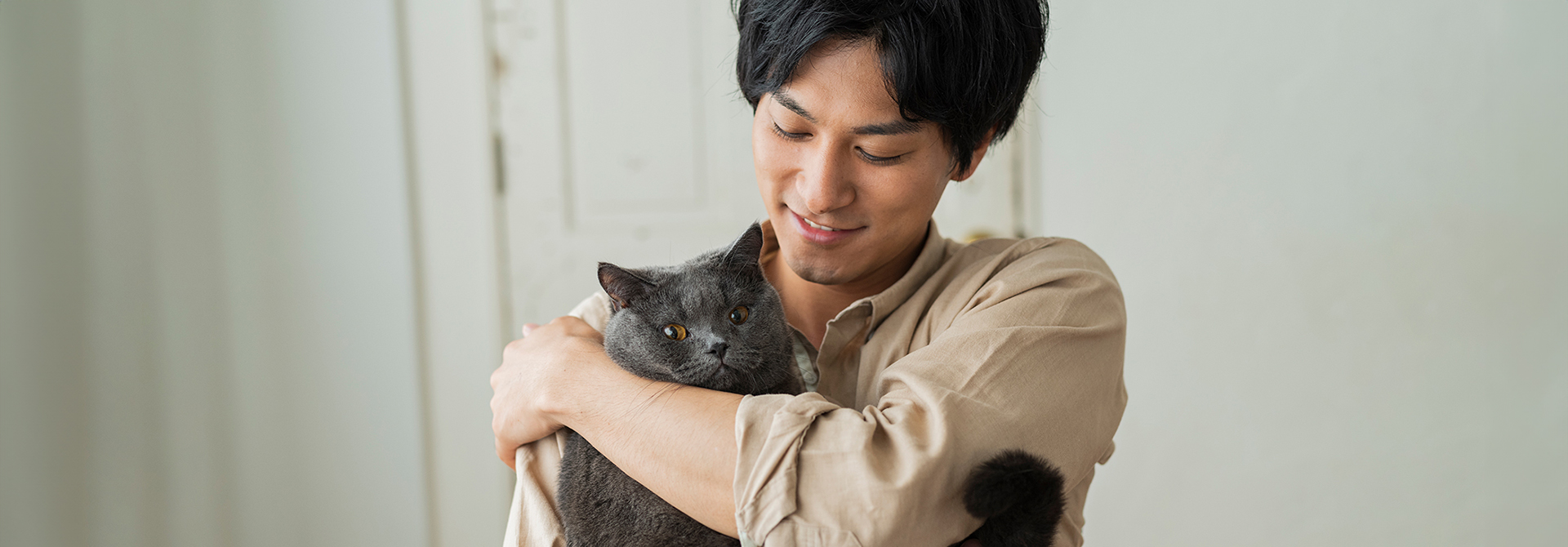 Tip Cara Bermain Dengan Kucing Sheba Indonesia