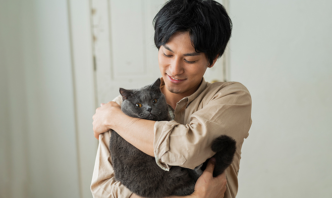 เคล็ดลับวิธีการเล่นกับแมว