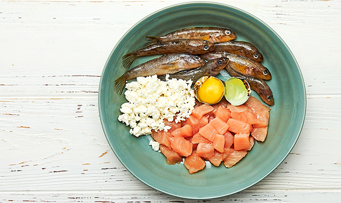 อาหารแมวออแกนิค vs อาหารแมวสูตรธรรมชาติ