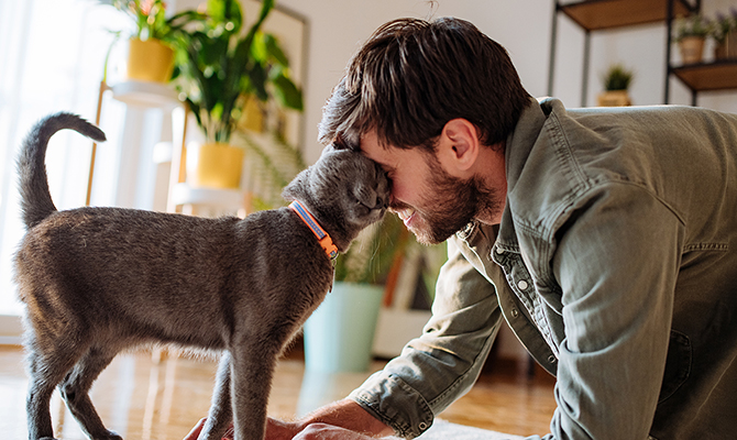 เรียนรู้วิธีผูกมิตรกับแมวเหมียวอย่างถูกต้อง