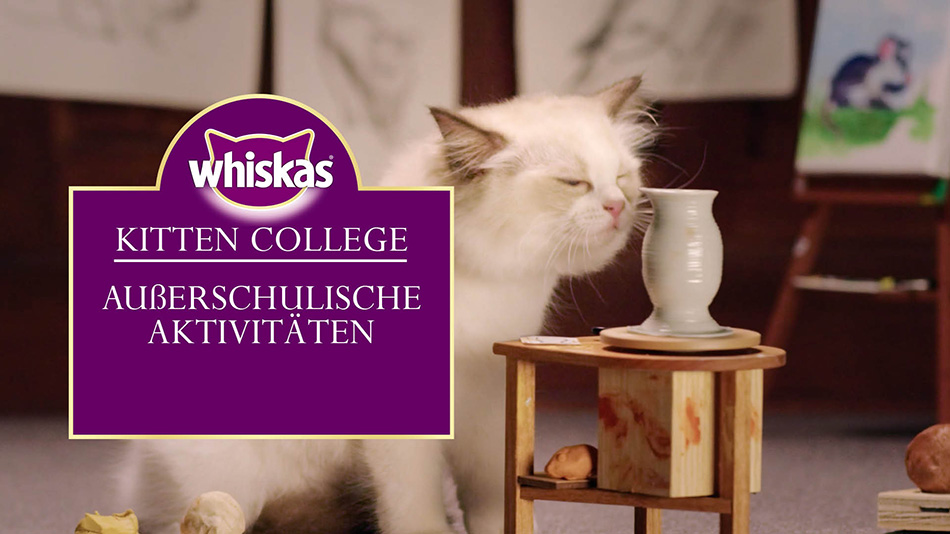 Katzenbabys aufziehen - Außerschulische Aktivitäten