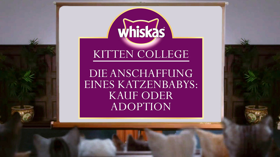 Kauf oder Adoption