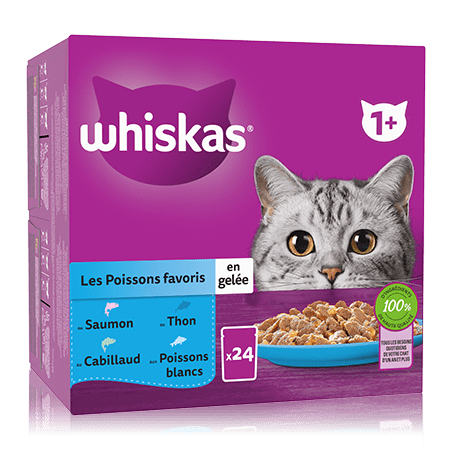 Whiskas Sachets Fraîcheur Les Poissons Favoris En Gelée Pour Chat Adulte 4 Variétés 24 X 85G