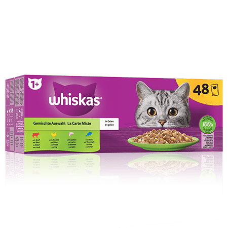 Whiskas Sachets Fraîcheur La Carte Mixte En Gelée Pour Chat Adulte 4 Variétés 48 X 85G