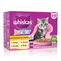 Whiskas® Sachets Fraîcheur Les Festins À La Volaille En Gelée Pour Chaton 4 Variétés 12 X 85G
