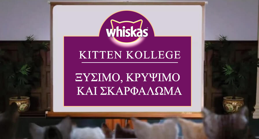Ξύσιμο, κρύψιμο και σκαρφάλωμα