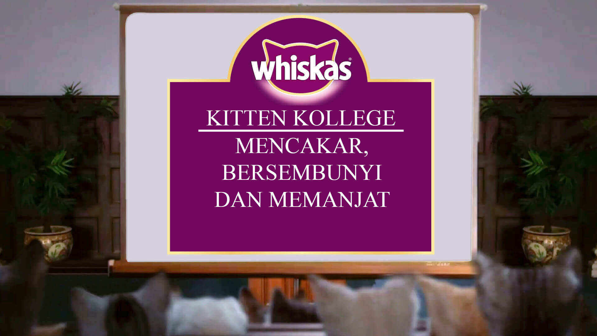 Menggaruk dan mencakar