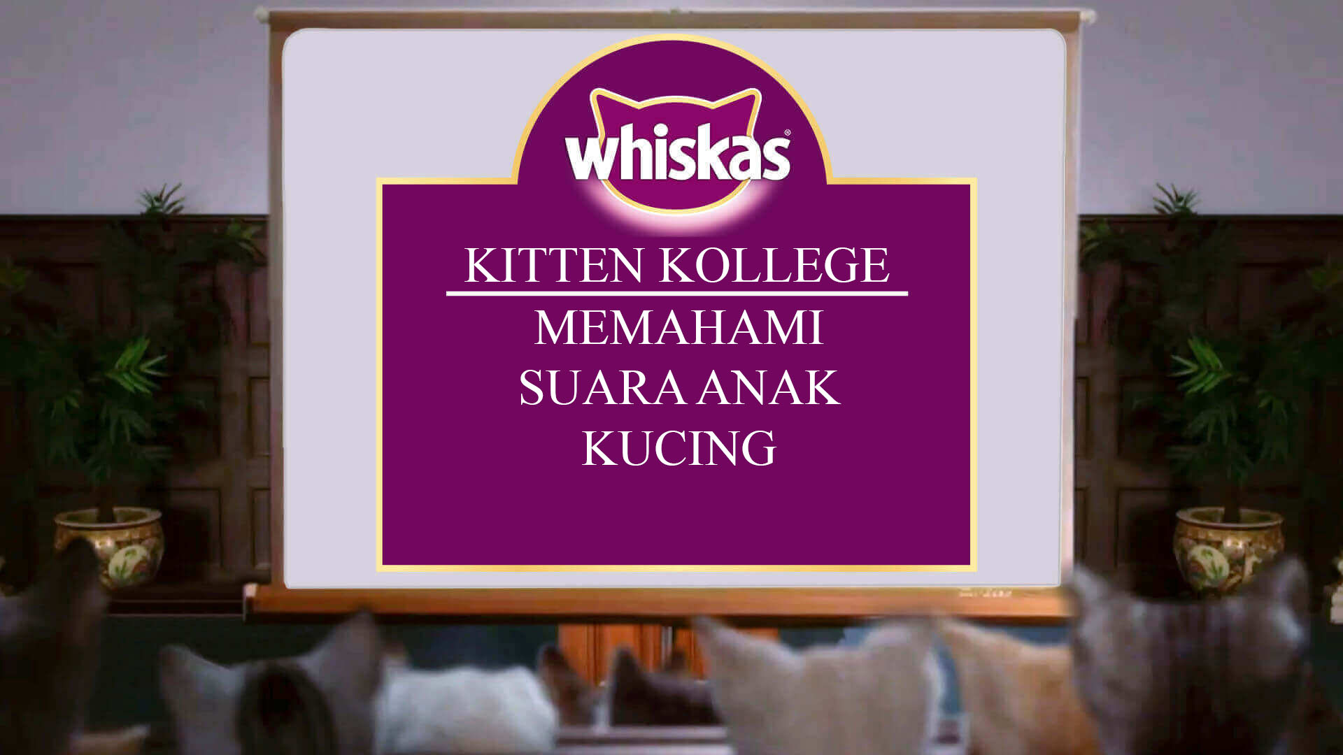 Tips Perawatan Cakar Kucing