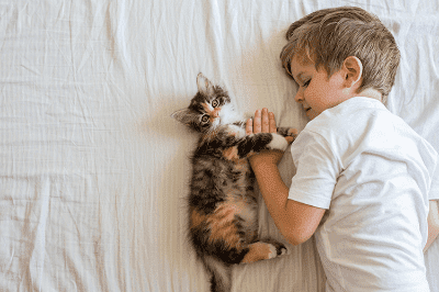 Kucing dan Bayi