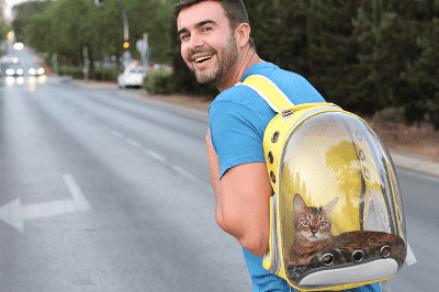 Sangkar Pembawa Kucing untuk Anak Kucing