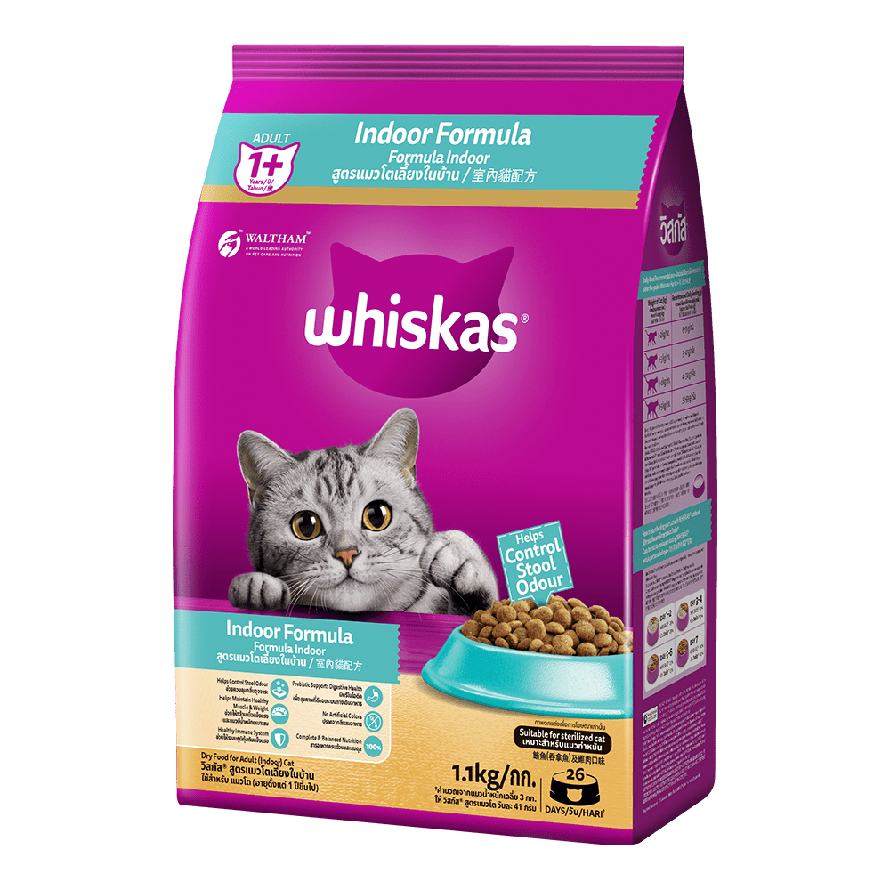 indoor cat food
