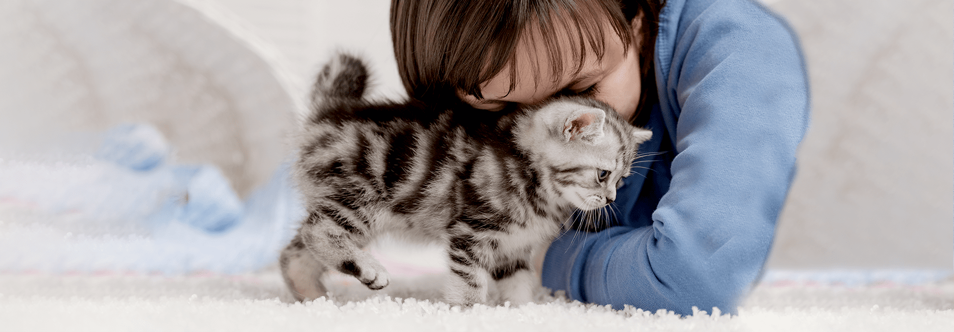 Cat Scratching and its Treaments Whiskas Philippines