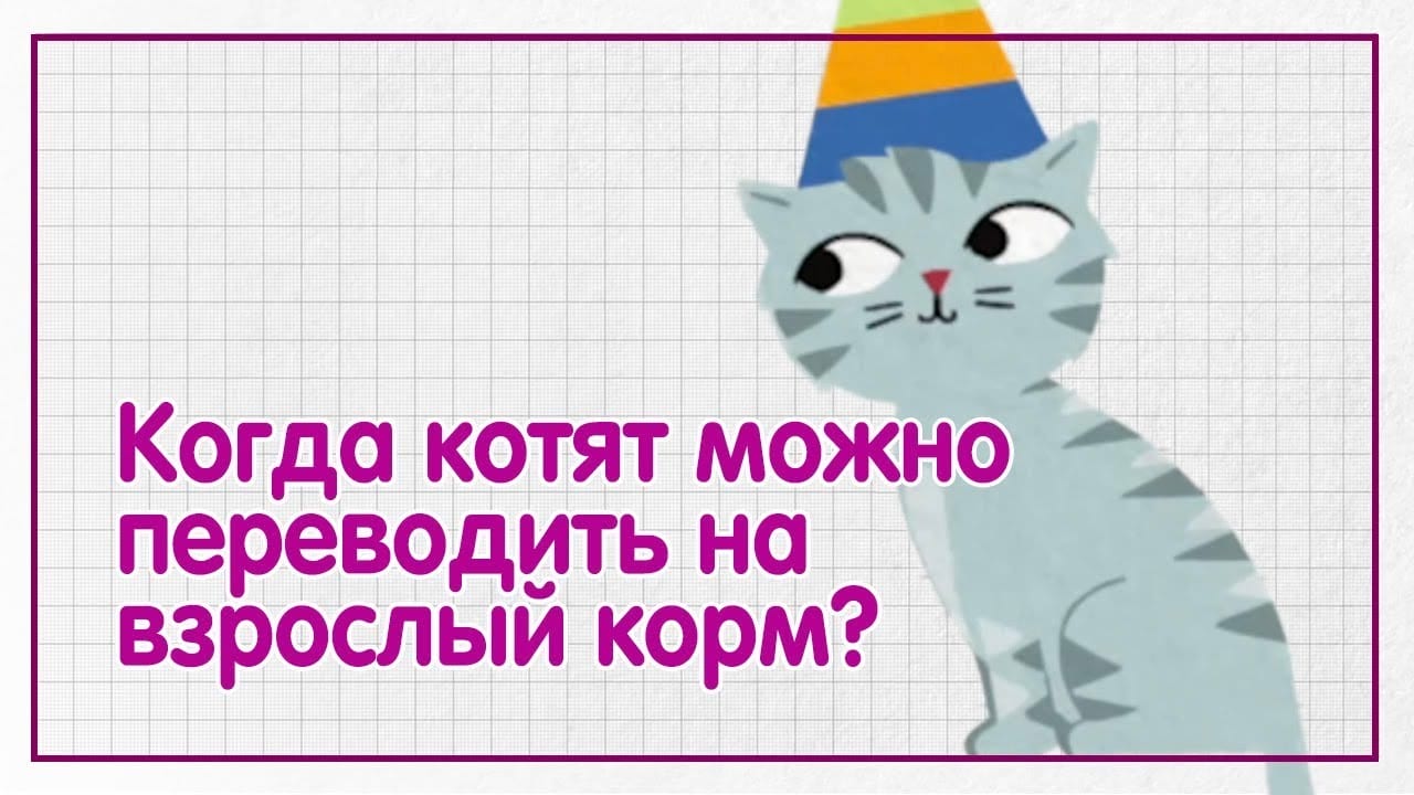 Вискас Новый Год Праздничным Меню Реклама Вискас Новый Год Праздничным Меню Реклама