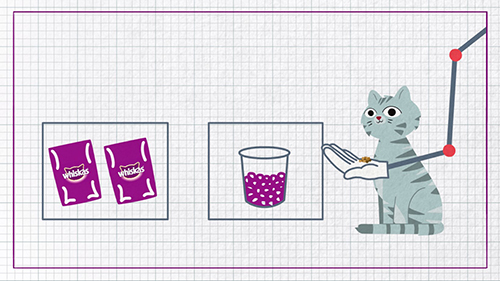 balanced diet for cats